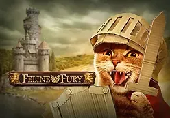 Feline Fury
